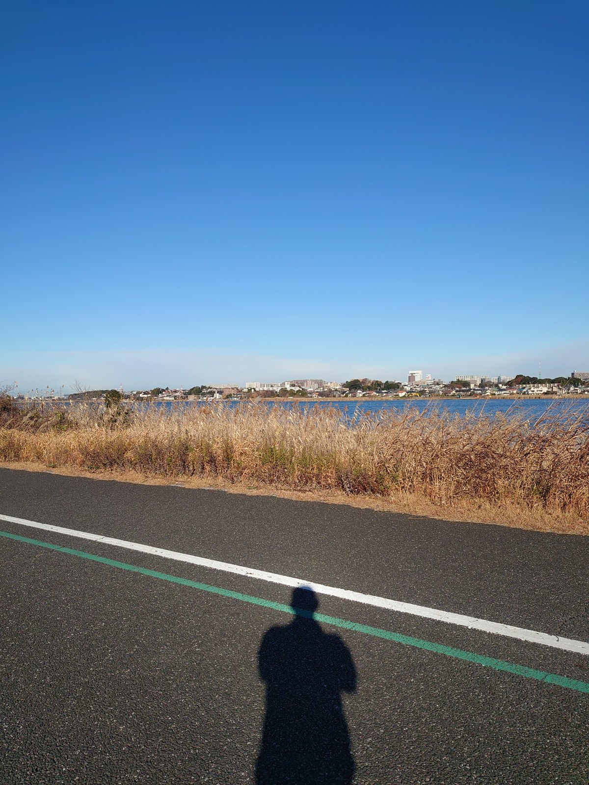 手賀沼の湖畔を望む緑道
