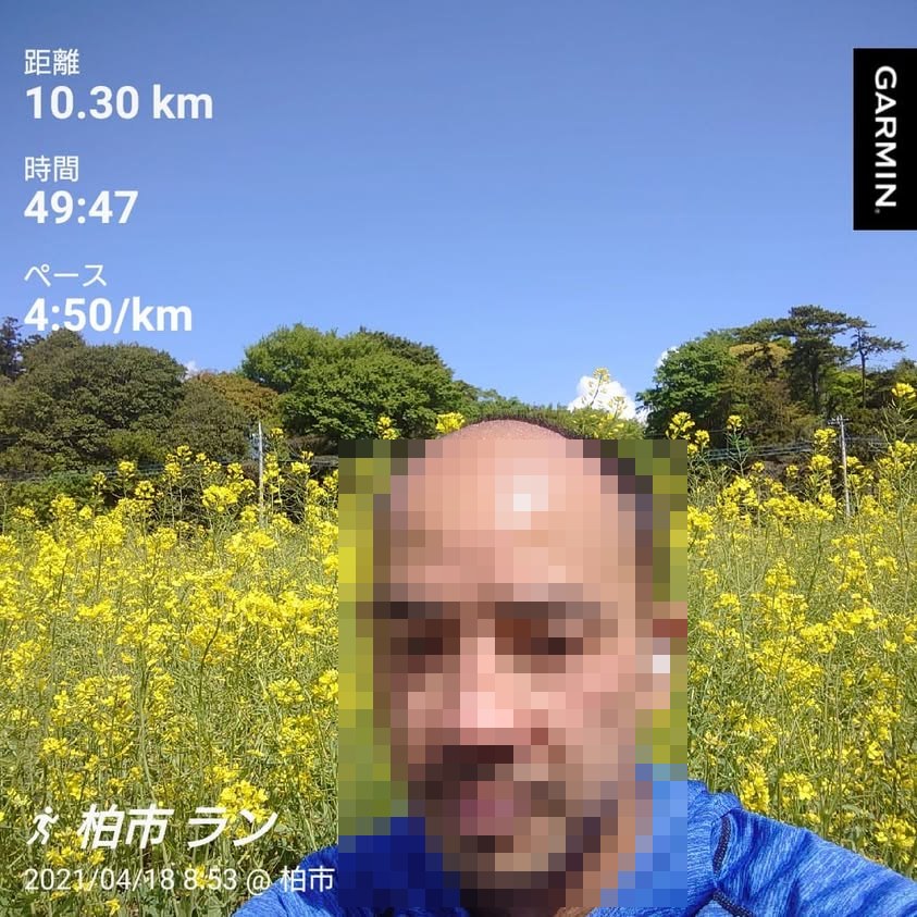 菜の花畑を背にしたランの記録画面