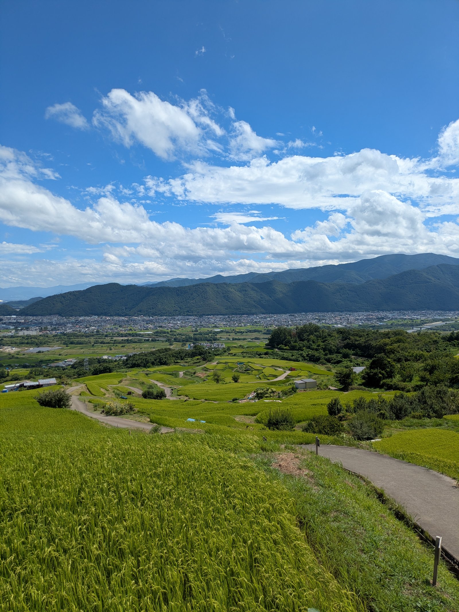 棚田の上から見下ろした盆地の景色